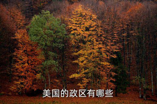 美國(guó)地方政府自治包括什么，美國(guó)的政府體制是什么