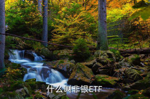 非銀etf是什么意思，易方達滬深300非銀etf是什么意思