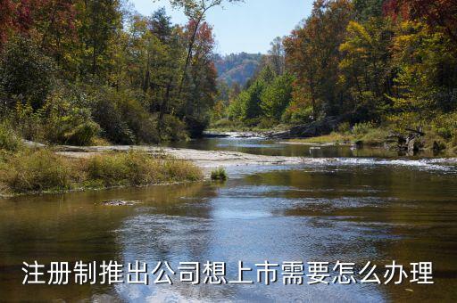 注冊制上市要什么條件，注冊制推出公司想上市需要怎么辦理