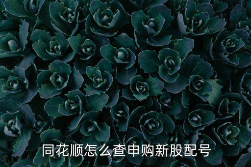 同花順怎么看新上市的股票,首頁-新股ipo功能介紹一下!