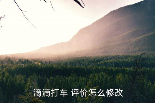  滴滴打車(chē) 評(píng)價(jià)怎么修改