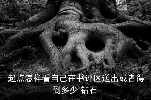 起點(diǎn)怎樣看自己在書(shū)評(píng)區(qū)送出或者得到多少 鉆石