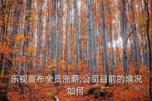  樂(lè)視宣布全員漲薪,公司目前的境況如何