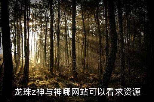  龍珠z神與神哪網(wǎng)站可以看求資源