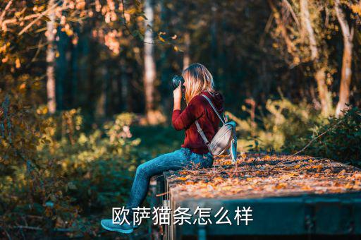 上海歐薩怎么樣,意大利進(jìn)口貓糧營養(yǎng)均衡貓咪超愛吃