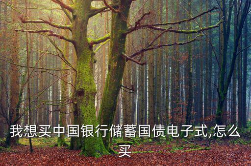 我想買中國銀行儲(chǔ)蓄國債電子式,怎么買