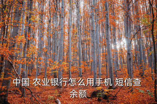 農業(yè)銀行怎么發(fā)短信查余額,中國農業(yè)銀行網銀查詢余額