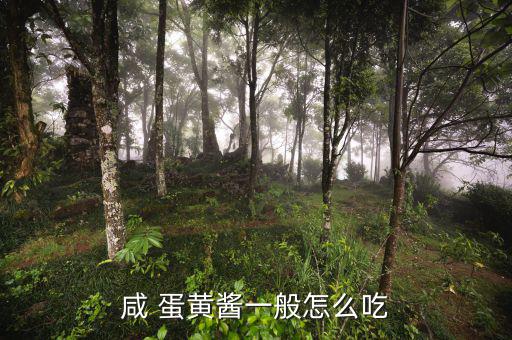 人造蛋黃醬怎么吃,蛋黃醬可用于面包沙拉、壽司等