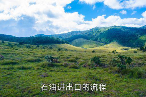 中國進口石油是怎么實現(xiàn)的,中國進口的原油流程如何進行