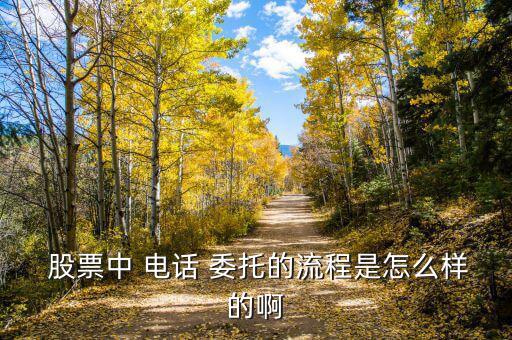 股票中 電話 委托的流程是怎么樣的啊