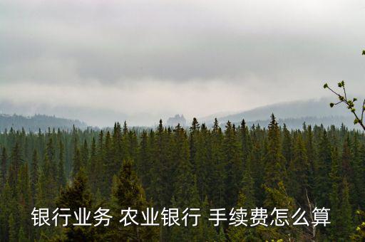 銀行業(yè)務 農(nóng)業(yè)銀行 手續(xù)費怎么算