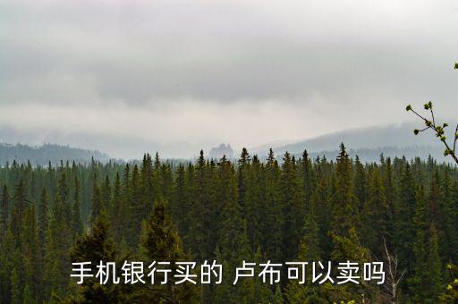 手機(jī)銀行買(mǎi)的 盧布可以賣(mài)嗎