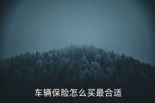 車(chē)輛保險(xiǎn)怎么買(mǎi)劃算,如何購(gòu)買(mǎi)車(chē)險(xiǎn)劃算1?