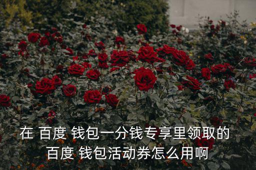 在 百度 錢包一分錢專享里領(lǐng)取的 百度 錢包活動券怎么用啊