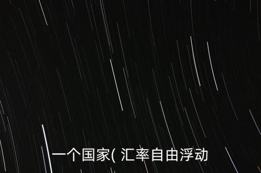 一個(gè)國家( 匯率自由浮動(dòng)