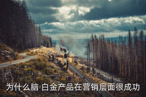 怎么推銷腦白金,白金營銷策略成功在黃金時段占據客戶心智