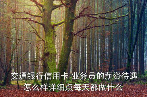  交通銀行信用卡 業(yè)務(wù)員的薪資待遇怎么樣詳細點每天都做什么