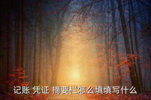 記賬 憑證 摘要欄怎么填填寫(xiě)什么