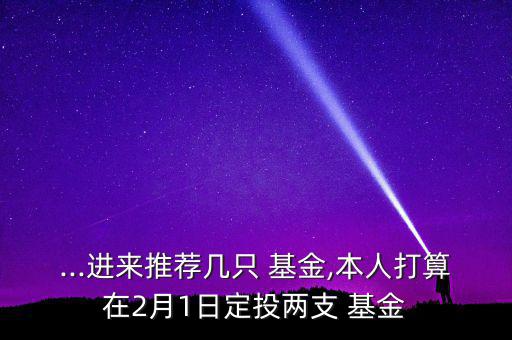 ...進來推薦幾只 基金,本人打算在2月1日定投兩支 基金