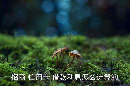 招商 信用卡 借款利息怎么計算的
