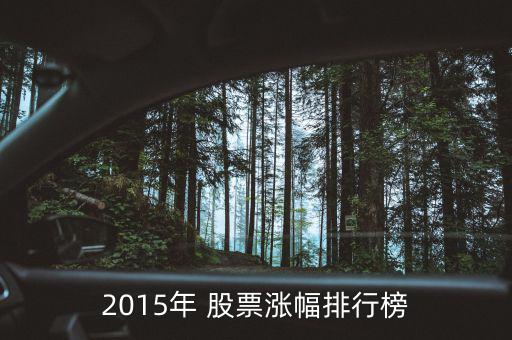中文在線股票怎么樣,十大股票:概念股成為股市熱點之一
