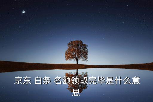 怎么看有沒有京東白條名額,如果你想搶名額最好去京東參加活動(dòng)