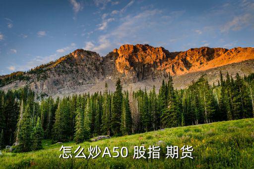 個(gè)人怎么做股指期貨,股指期貨開戶須滿足什么條件?