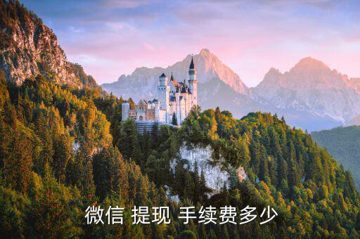  微信 提現 手續(xù)費多少