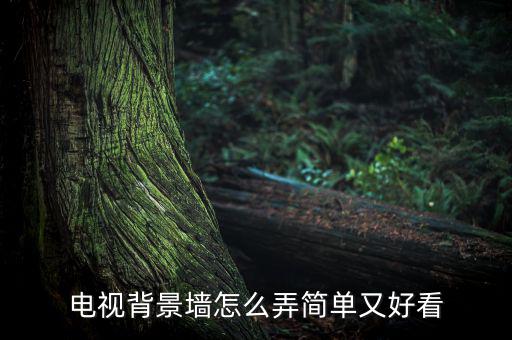 電現募墻怎么做好,電視墻設計好看又省錢
