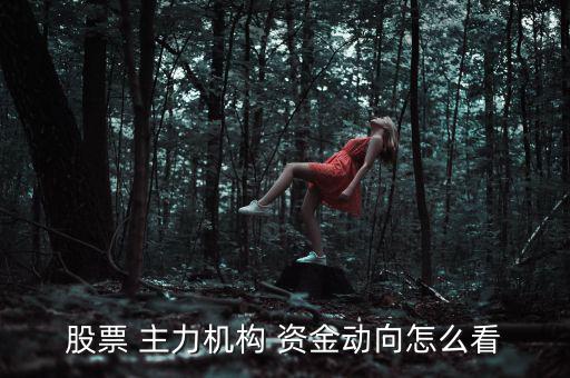 股票 主力機構(gòu) 資金動向怎么看
