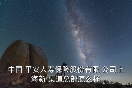 平安新渠道公司怎么樣,什么狗屁不安?渠道管理是怎么回事?