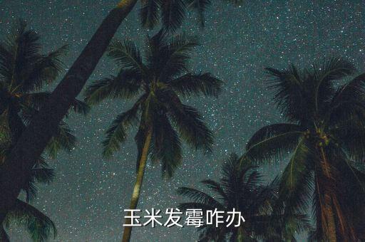 玉米有點(diǎn)霉怎么辦,因受潮變質(zhì)玉米會(huì)發(fā)酵產(chǎn)生霉菌