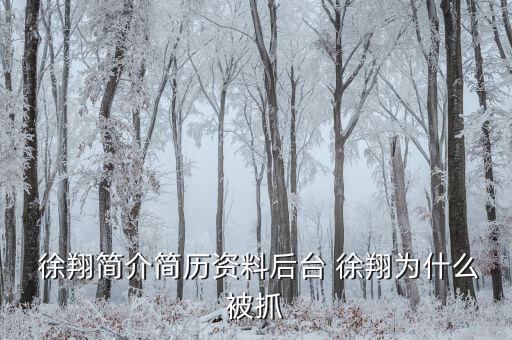徐翔是怎么回事,徐翔、王偉、犯受賄罪被判入獄五年半
