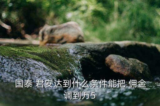  國泰 君安達(dá)到什么條件能把 傭金調(diào)到萬5