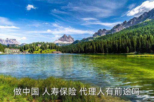 做中國 人壽保險(xiǎn) 代理人有前途嗎
