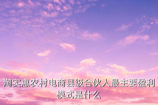 淘實惠農村電商縣級合伙人最主要盈利模式是什么