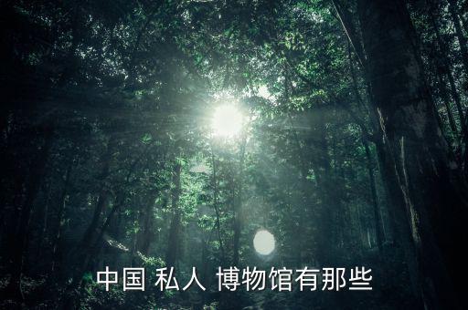中國怎么私人博物館,收藏界笑料百出