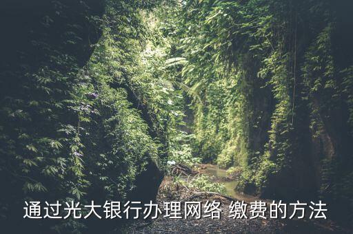 通過光大銀行辦理網(wǎng)絡(luò) 繳費(fèi)的方法