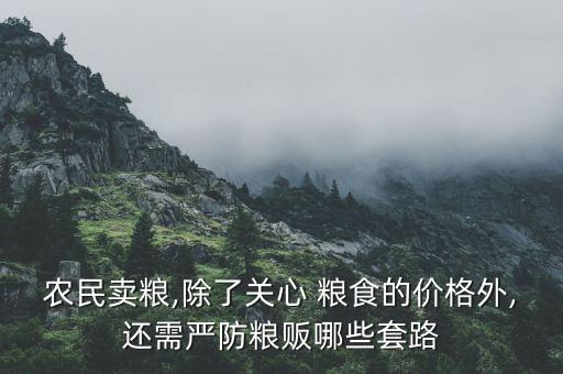 農(nóng)民賣(mài)糧,除了關(guān)心 糧食的價(jià)格外,還需嚴(yán)防糧販哪些套路