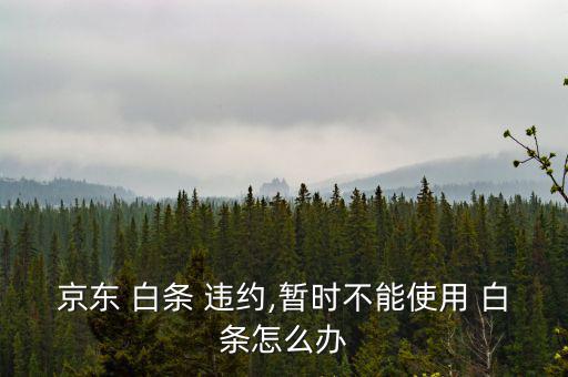 京東 白條 違約,暫時不能使用 白條怎么辦