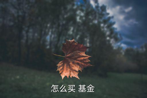 挖財(cái)怎么買基金,網(wǎng)購基金可以用支付寶或微信購買