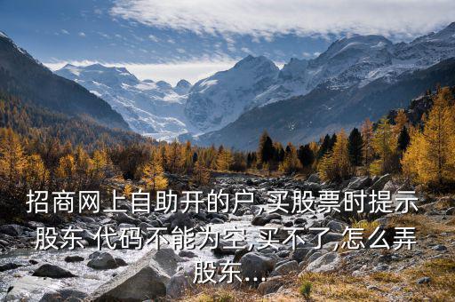 招商網上自助開的戶,買股票時提示 股東 代碼不能為空,買不了,怎么弄 股東...