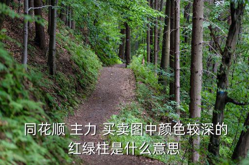 同花順主力買賣怎么看,主力買賣指示器如何顯示