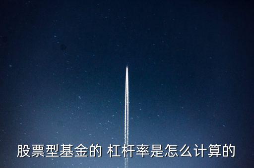 擔(dān)保杠桿率怎么算,股票型基金杠桿的計算方式