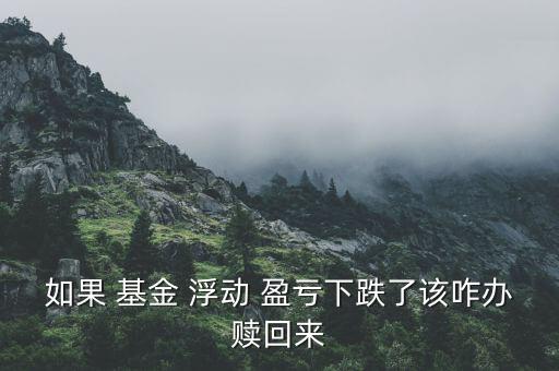 基金浮動(dòng)盈虧怎么提取,浮動(dòng)盈虧是正數(shù)，表示你賺了
