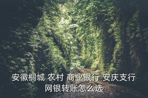 安徽桐城 農(nóng)村 商業(yè)銀行 安慶支行網(wǎng)銀轉賬怎么選
