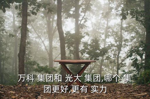 萬科 集團(tuán)和 光大 集團(tuán),哪個 集團(tuán)更好,更有 實力