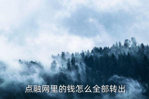  點(diǎn)融網(wǎng)里的錢怎么全部轉(zhuǎn)出