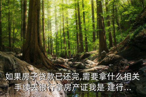 建行還款書(shū)抵稅怎么打,首次申請(qǐng)一次正式注銷(xiāo)需帶上房本和胸卡