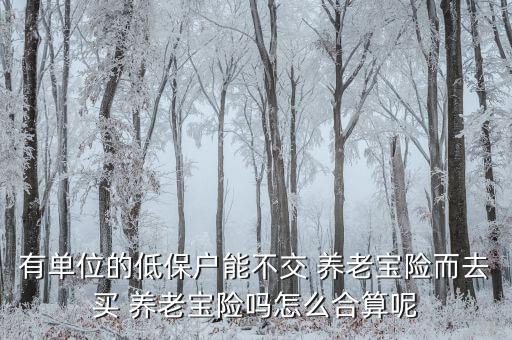 有單位的低保戶能不交 養(yǎng)老寶險(xiǎn)而去買(mǎi) 養(yǎng)老寶險(xiǎn)嗎怎么合算呢